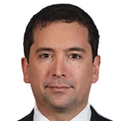 Diputado Cristián Araya, jefe de bancada